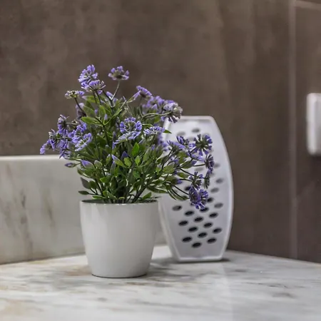 Heart Of * Τίρανα