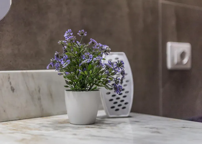 Heart Of * Тирана